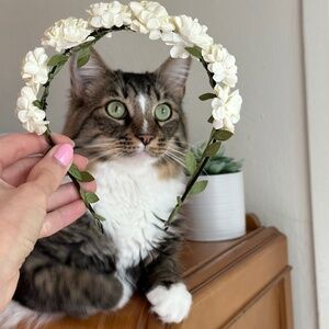 Floral Headband White Ivory Green Adult One Size